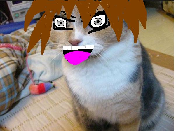 Krappy Anime Kitty