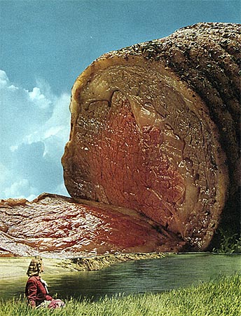 Life in the Meat Dimension.