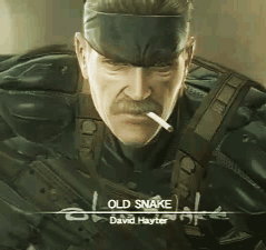 Snake, video game smoker