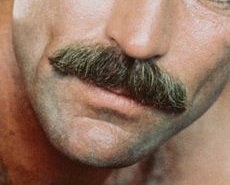 Selleck approves.