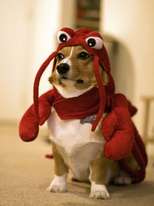  The most disturbing lobster monster of them all.