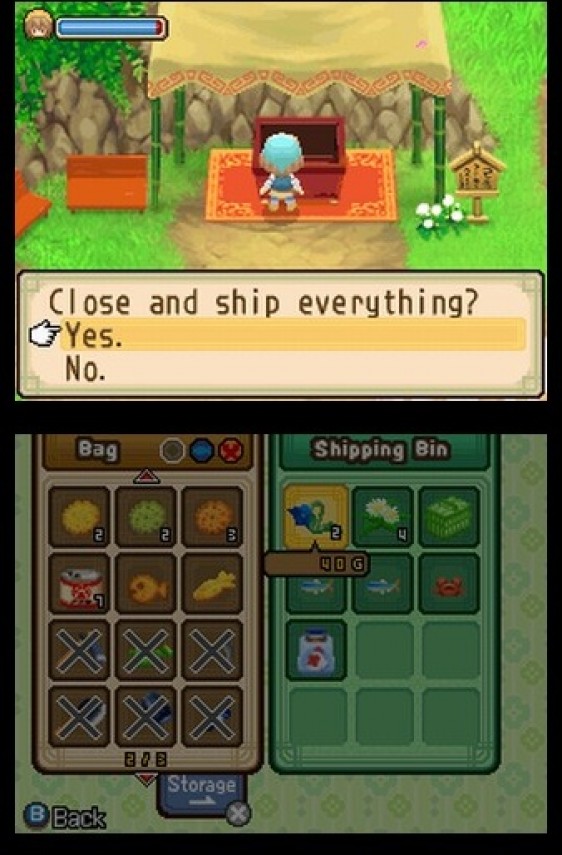 Harvest Moon: The Tale of Two Towns (Game) - Giant Bomb