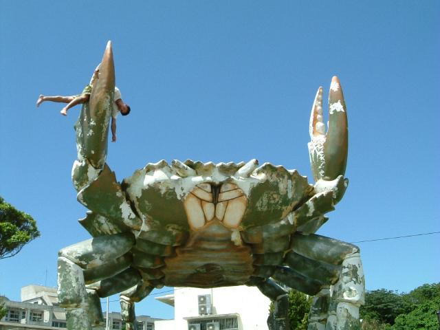 A Giant Crab