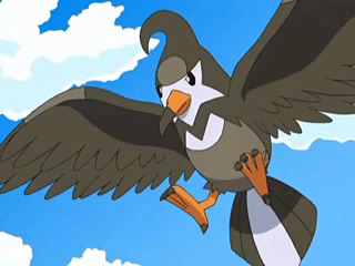  Staravia on the Anime owned by Ash