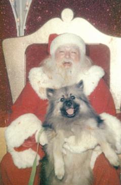 Dear Santa: Sigmund 1990-2005