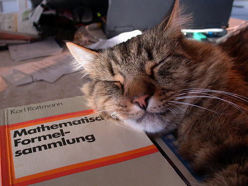 Kitty tried to convert Roman decimals with a German book