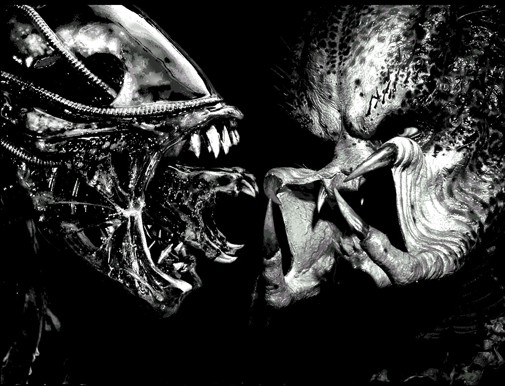 Aliens vs Predator Screenshots - Image #1930
