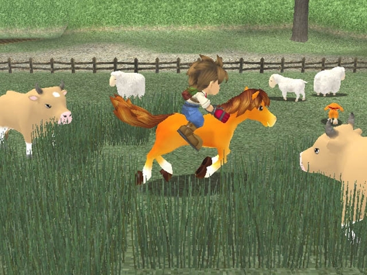 Looking at the screenshot makes me realize I never had that many animals in any of my Harvest Moon playthroughs. I tend to focus on crops.