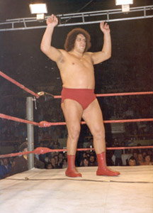 Shadow of the Colossus would be a great name for a Andre the Giant documentary.