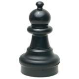 The pawn