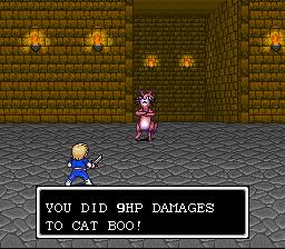 YOU DID 9HP DAMAGES TO CAT BOO!