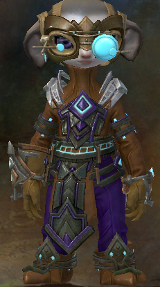 My armour. Confirmed. For the rest of my GW2 life.