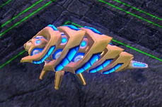 Reaver in Starcraft 2 screenshot
