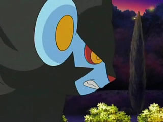  Luxray in the Anime