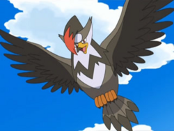  Staraptor on the Anime owned by Ash
