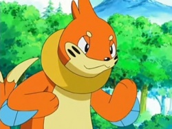  Buizel is ready to attack