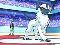  Absol on the Anime owned by Drew