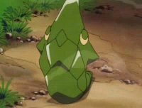  Metapod in the Anime, owned by Ash