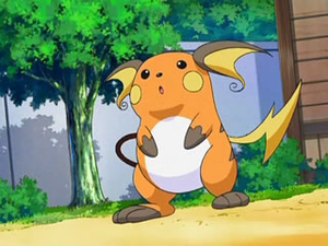  Raichu on the Anime. Volkner and Lt. Surge have one and Ash got to be with on for a short time
