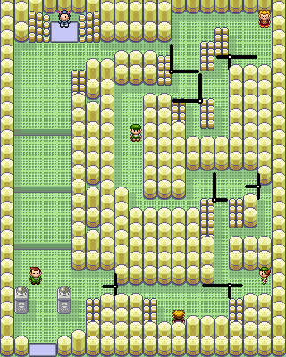 Fortree City Gym from Ruby/Sapphire