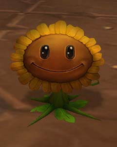 Brazie's Sunflower