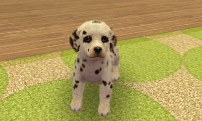 But look, virtual puppy... actually this one seems sad... sorry.