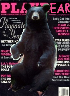   Playbear, the #1 most sold pornographic magazine for bears.