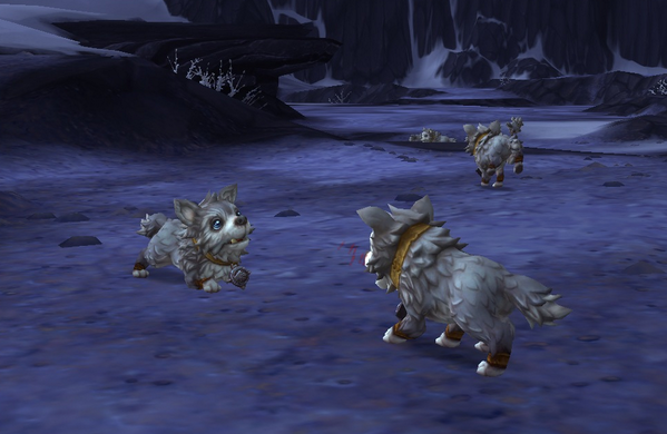 Here is some wow puppies rorie,  just for you!!!!!