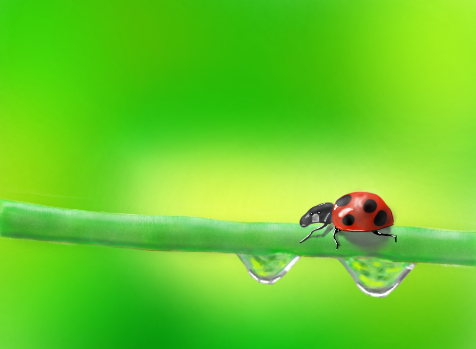 Ladybug, again another drawing based on Google Image search. I am actually trying to learn how to draw water droplet again.