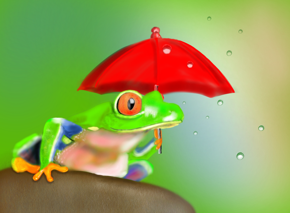 Originally I was learning how to draw tree frog. But something was missing, so I decided to add an umbrella and some raindrops.