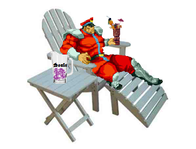  M. Bison on Holiday.
