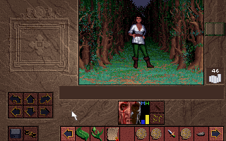 Scotia the Witch is the game's chief antagonist and a powerful shape-shifting sorceress eager to do away with the honorable King Richard. This isn't her though, this is just some anonymous attractive lady talking a walk in a dangerous forest who just asked me to sneak her into the castle.
