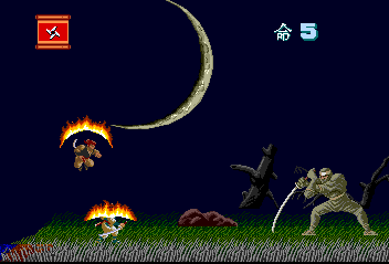 I skipped most of the third level but you can see what it's like here: Gigantic crescent moon, cool field of long grass waving in the wind. The third boss is a one of those slow-moving but hard to avoid fellows. I have no idea how a 10-foot tall ninja conceals himself, exactly.