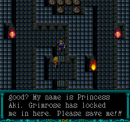 The blonde Princess with a Japanese name is trapped in this jail cell that just so happens to sit between you and the rest of the game. I guess we're going to go defeat Grimrose, then. Boy, I love optional side-quests.