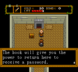 This game has saves but also passwords. I haven't figured that out yet.