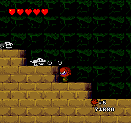 These tiny Dry Bones are the toughest enemies in the game. You wouldn't think a tiny skeleton could take so much punishment.