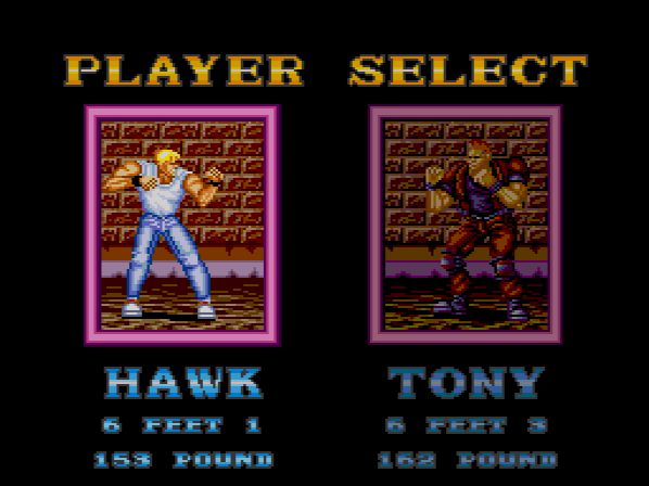I probably should pick Tony. Instead, I went with Not Cody. I prefer faster characters.