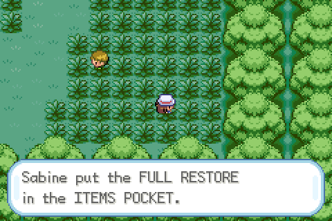 First random item of the game, and it's a Full Restore. Nice. I randomized a lot of item stuff, including what TMs got you and, of course, items that the Pokémon are holding. You can even toggle an option to remove trash items from the game, like mail or berries.