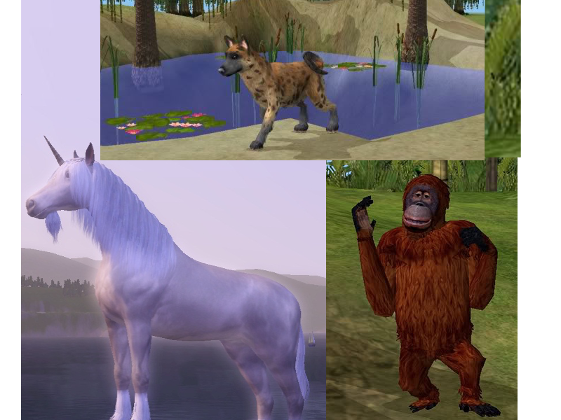 If you Google these 3 animals together you shouldn't get any porn. I mean, you shouldn't....right?
