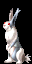 Sprite of the Hare of Inaba from Soul Hackers.