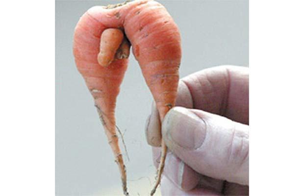  I love me some carrots