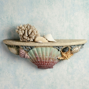 A Shelf made of shell?