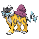 A picture of Raikou itself...