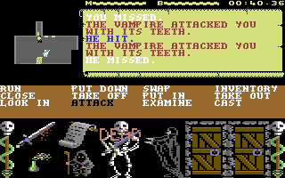 A typical game screen (C64)