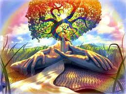  Tree of Life