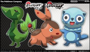Pokemon Black and White Starters Revealed + A Poll