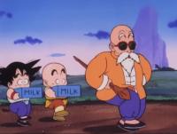 Goku and Krillin training