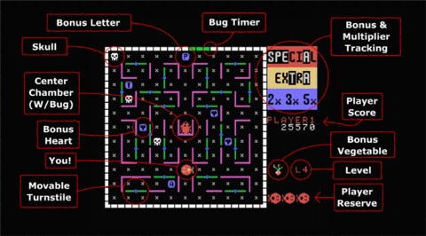  Anatomy of a Lady Bug Maze. 
