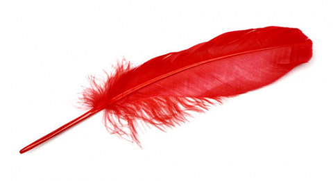 Red Feather (Object) - Giant Bomb