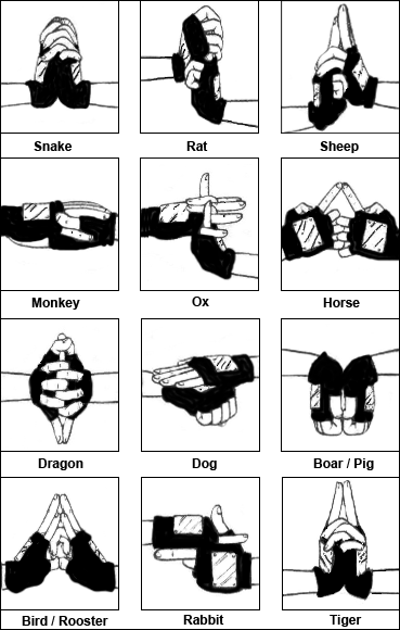 Ninja Art Jutsu Hand Signs